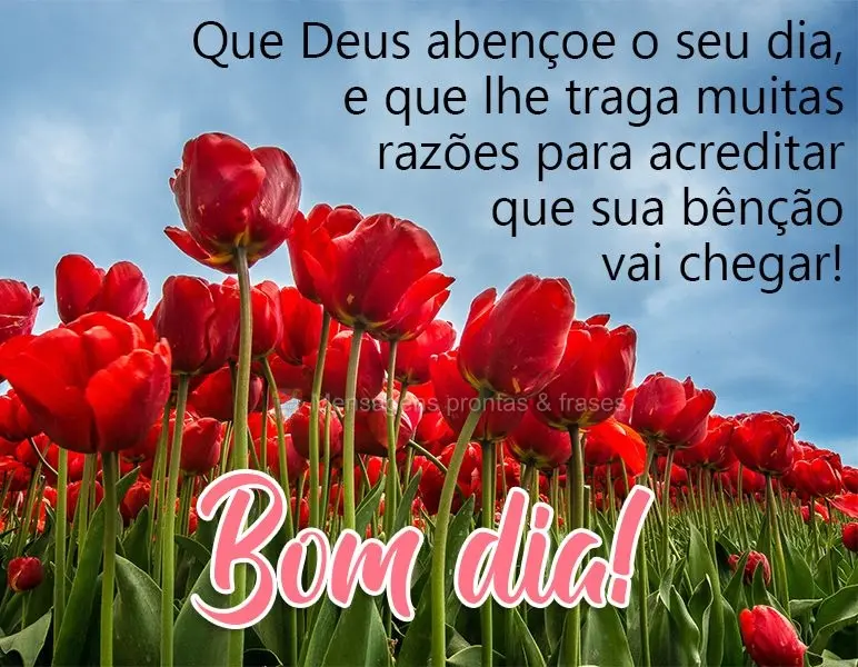 Que Deus abençoe o seu dia, e que lhe traga muitas razões para acreditar que sua bênção vai chegar! Bom dia! 