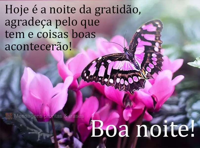Hoje é a noite da gratidão. Agradeça pelo que tem e coisas boas acontecerão!  Boa noite!