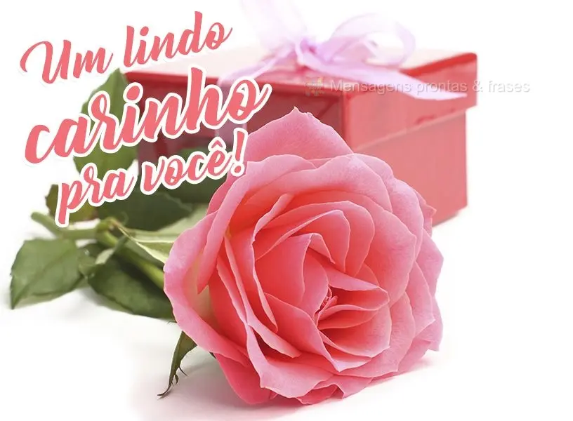 Um lindo carinho pra você!