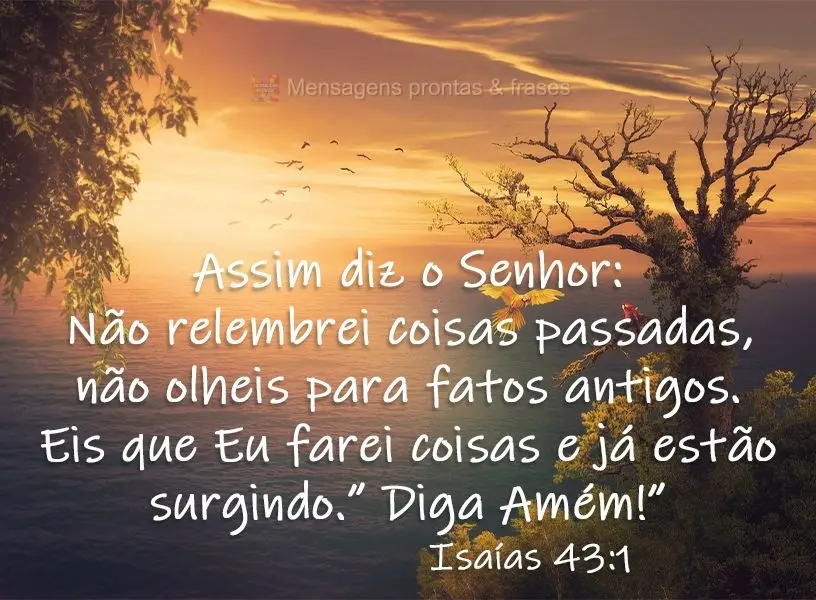 Assim diz o Senhor: "Não relembrei coisas passadas, não olheis para fatos antigos. Eis que Eu farei coisas novas e que já estão surgindo.” Diga: Am...