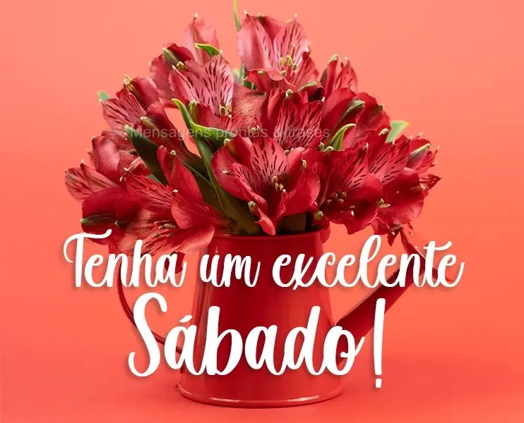 Tenha um excelente Sábado!