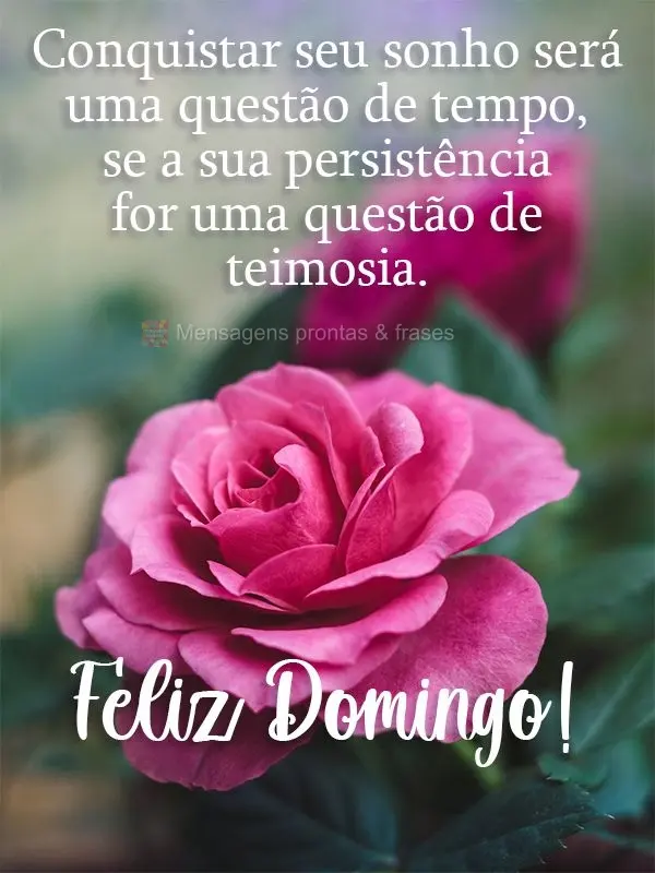 Conquistar seu sonho será uma questão de tempo, se sua persistência for uma questão de teimosia.  Feliz Domingo!