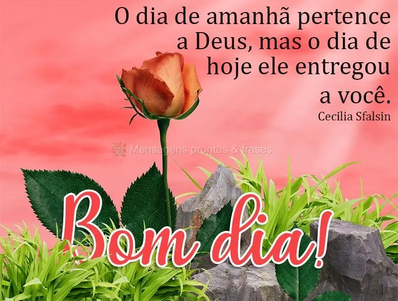 O dia de amanhã pertence a Deus, mas o dia de hoje ele entregou a você. Bom dia! Cecilia Sfalsin