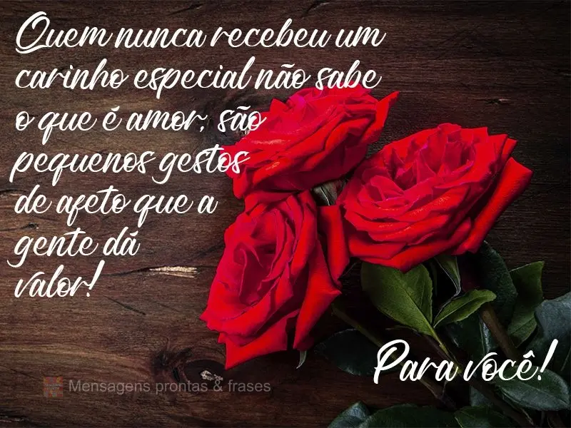 Quem nunca recebeu um carinho especial não sabe o que é amor. São pequenos gestos de afeto que a gente dá valor. Para você!