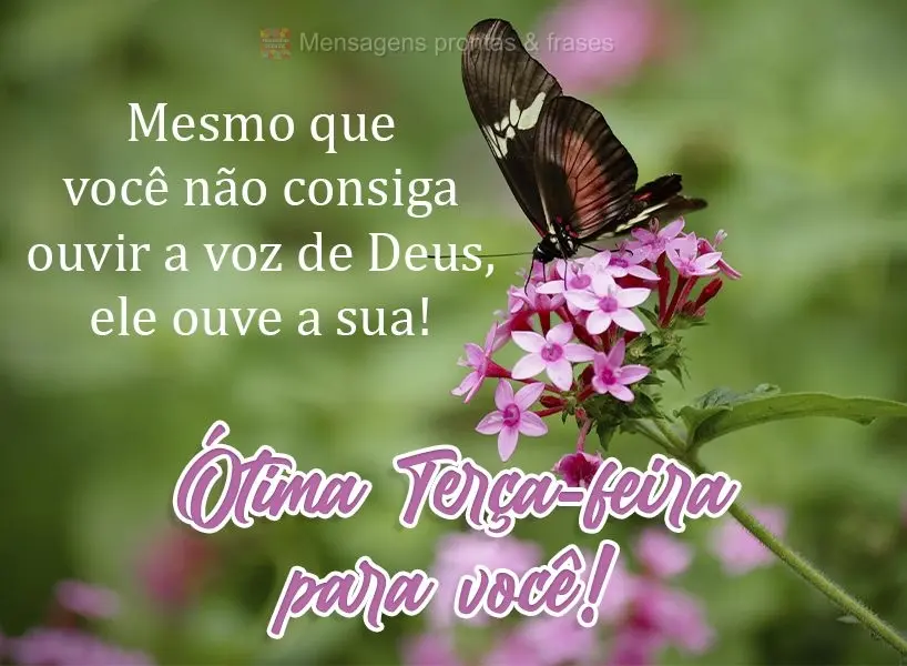 Mesmo que você não consiga ouvir a voz de Deus, ele ouve a sua!  Ótima Terça-feira para você!