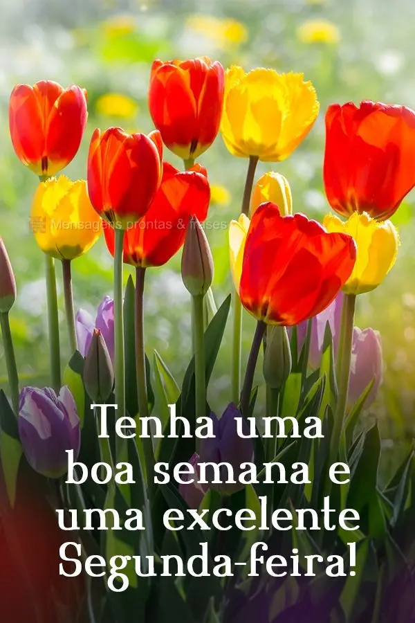 Tenha uma boa semana e uma excelente Segunda-feira!