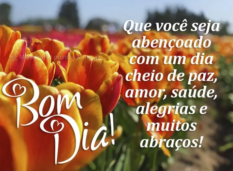 Que você seja abençoado com um dia cheio de paz, amor, saúde, alegrias e muitos abraços! Bom dia! 