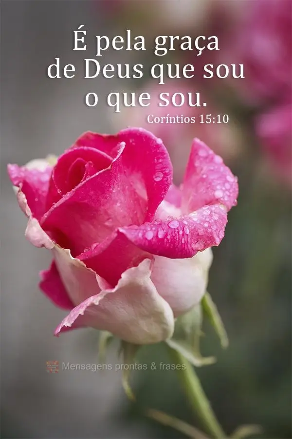 É pela graça de Deus que sou o que sou.  Coríntios 15:10