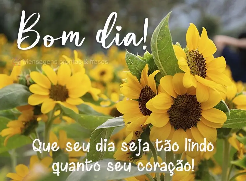 Que seu dia seja tão lindo quanto seu coração! Bom dia! 