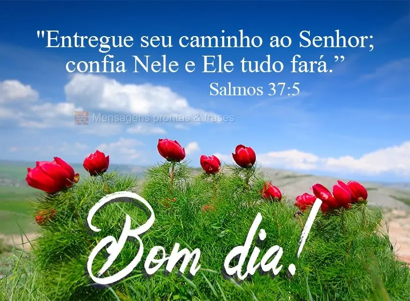 "Entregue seu caminho ao Senhor; confia Nele e Ele tudo fará.”  Bom dia!  Salmos 37:5