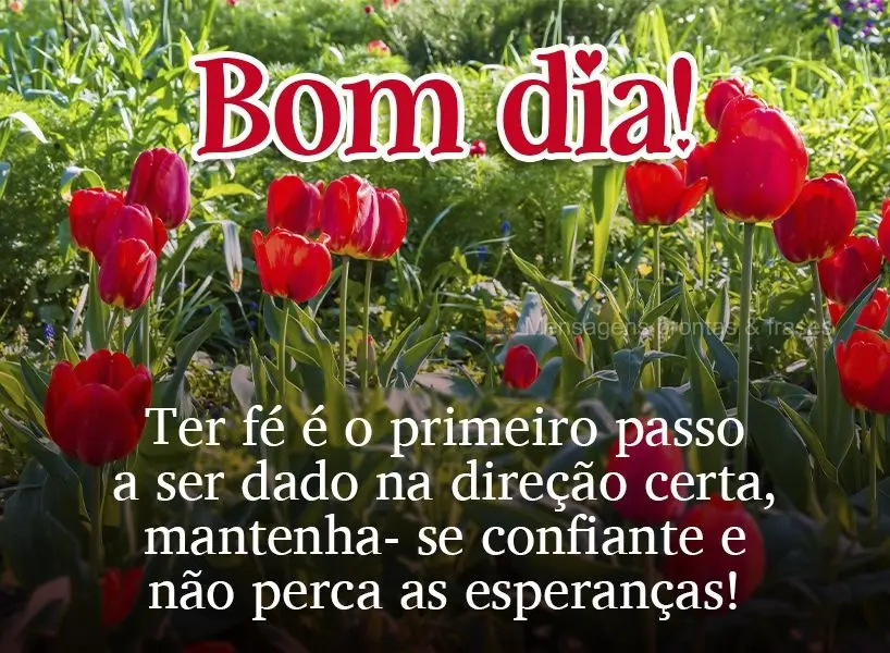 Ter fé é o primeiro passo a ser dado na direção certa. Mantenha-se confiante e não perca as esperanças! Bom dia! 