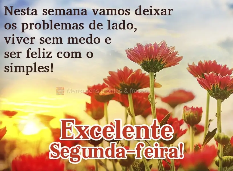 Nesta semana vamos deixar os problemas de lado, viver sem medo e ser feliz com o simples!  Excelente Segunda-feira!
