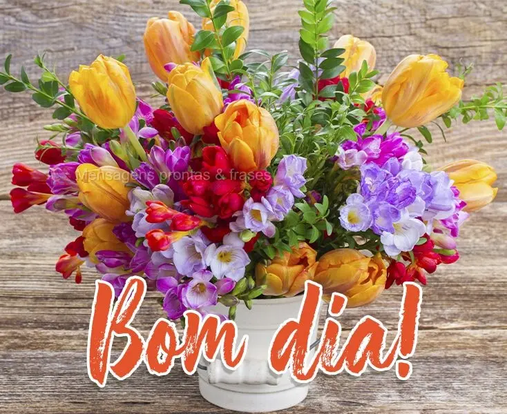 Bom dia!