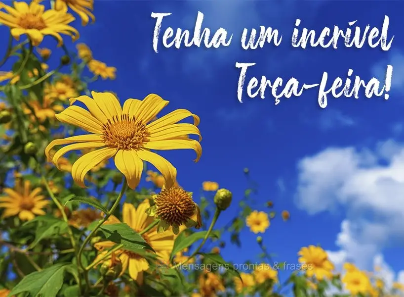 Tenha uma incrível Terça-feira!