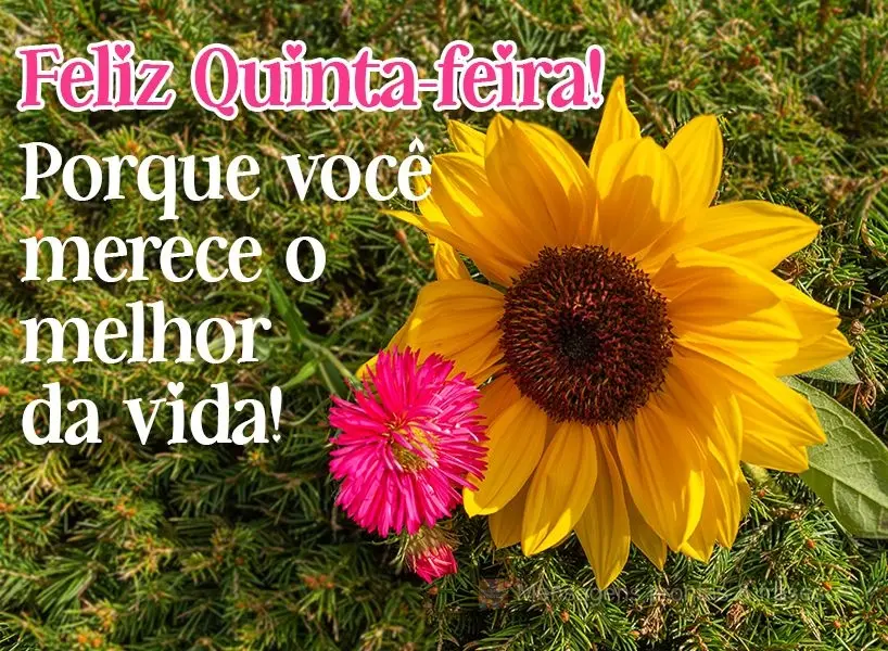 Feliz Quinta-feira! Porque você merece o melhor da vida!