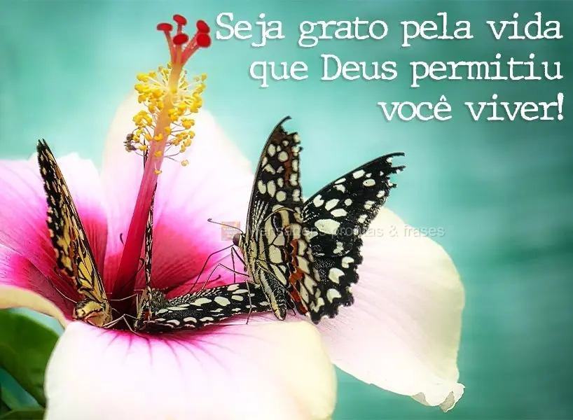 Будьте благодарны за ту жизнь, которую Бог позволил вам прожить!