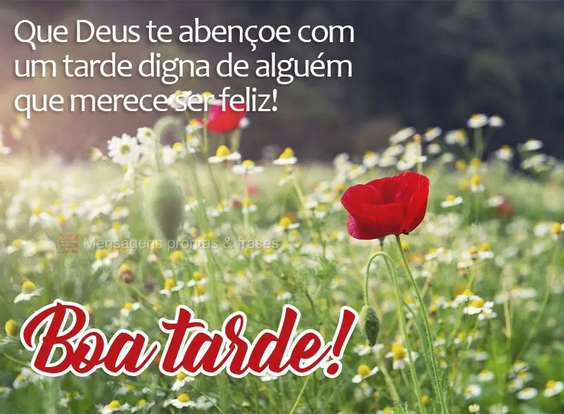 Que Deus te abençoe com uma tarde digna de alguém que merece ser feliz! Boa tarde! 