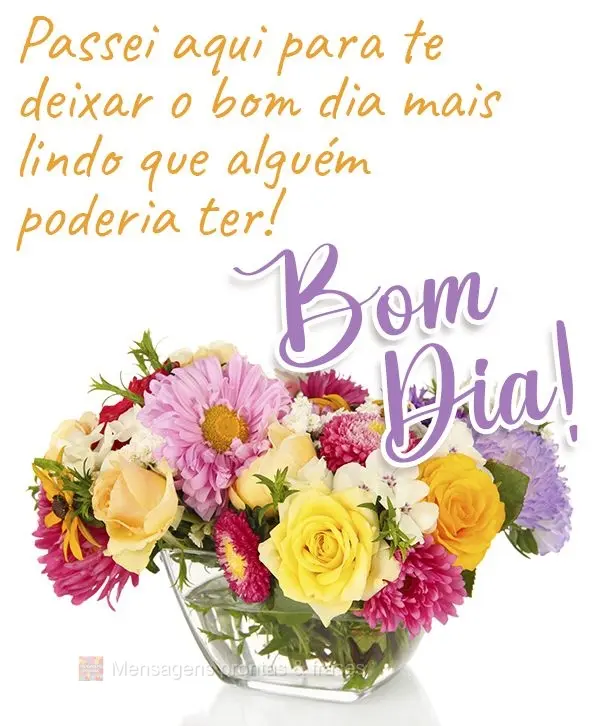 Passei aqui para te deixar o bom dia mais lindo que alguém poderia ter! Bom dia! 