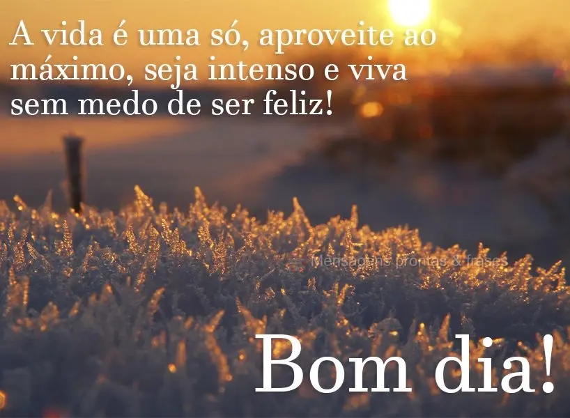A vida é uma só, aproveite ao máximo, seja intenso e viva sem medo de ser feliz! Bom dia! 