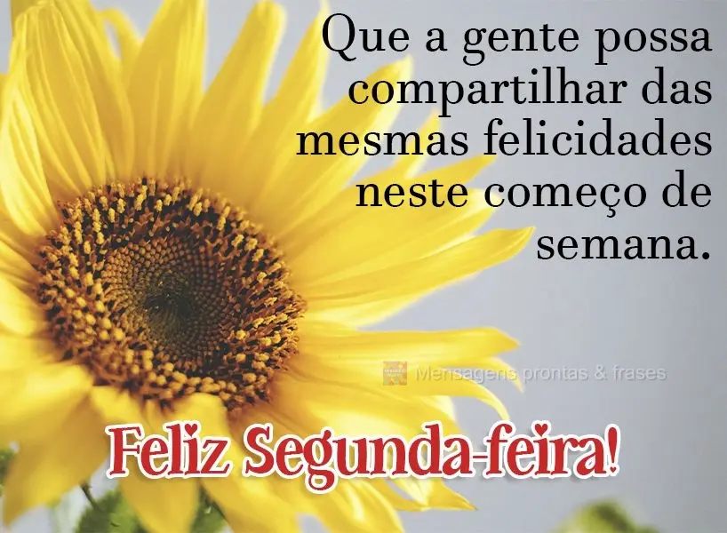 Que a gente possa compartilhar das mesmas felicidades neste começo de semana. Feliz Segunda-feira!