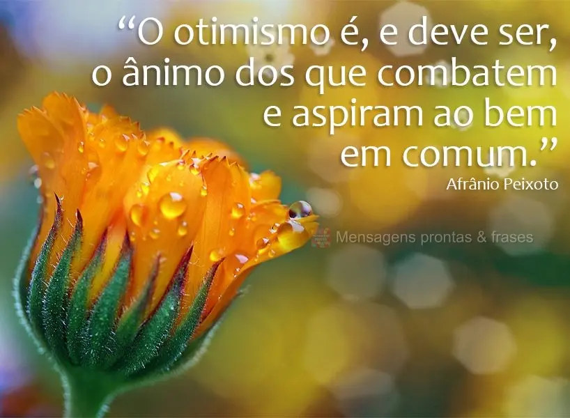 “O otimismo é, e deve ser, o ânimo dos que combatem e aspiram ao bem em comum.” Afrânio Peixoto