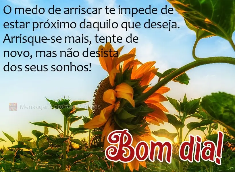 O medo de arriscar te impede de estar próximo daquilo que deseja. Arrisque-se mais, tente de novo, mas não desista dos seus sonhos! Bom dia! 