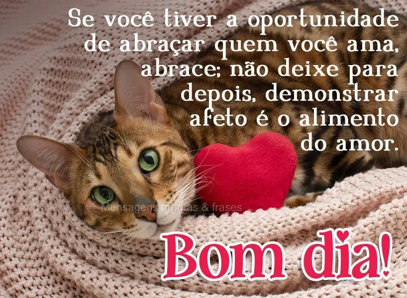 Se você tiver a oportunidade de abraçar quem você ama, abrace; não deixe para depois! Demonstrar afeto é o alimento do amor. Bom dia! 