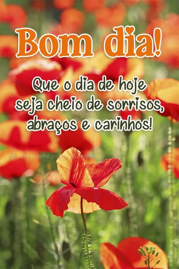 Que o dia de hoje seja cheio de sorrisos, abraços e carinhos! Bom dia! 