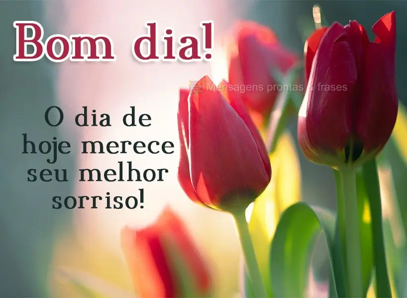 O dia de hoje merece seu melhor sorriso! Bom dia! 