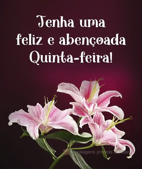Tenha uma feliz e abençoada Quinta-feira!