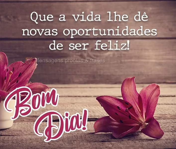 Que a vida lhe dê novas oportunidades de ser feliz! Bom dia! 