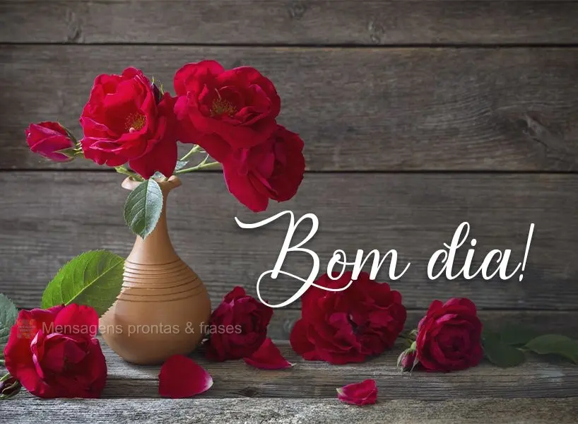 Bom dia!
