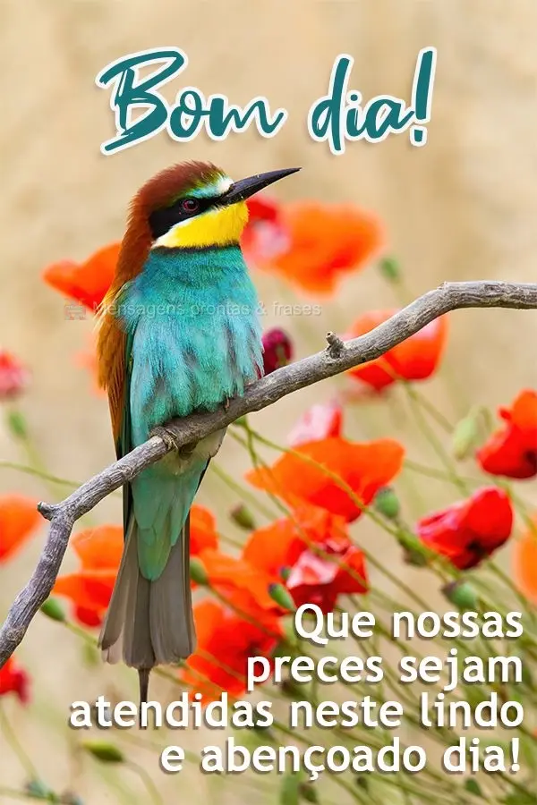 Que nossas preces sejam atendidas neste lindo e abençoado dia! Bom dia! 