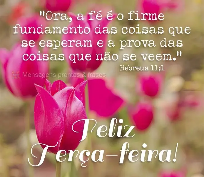 “Ora, a fé é o firme fundamento das coisas que se esperam e a prova das coisas que se não veem.” 

Feliz Terça-feira Hebreus 11:1