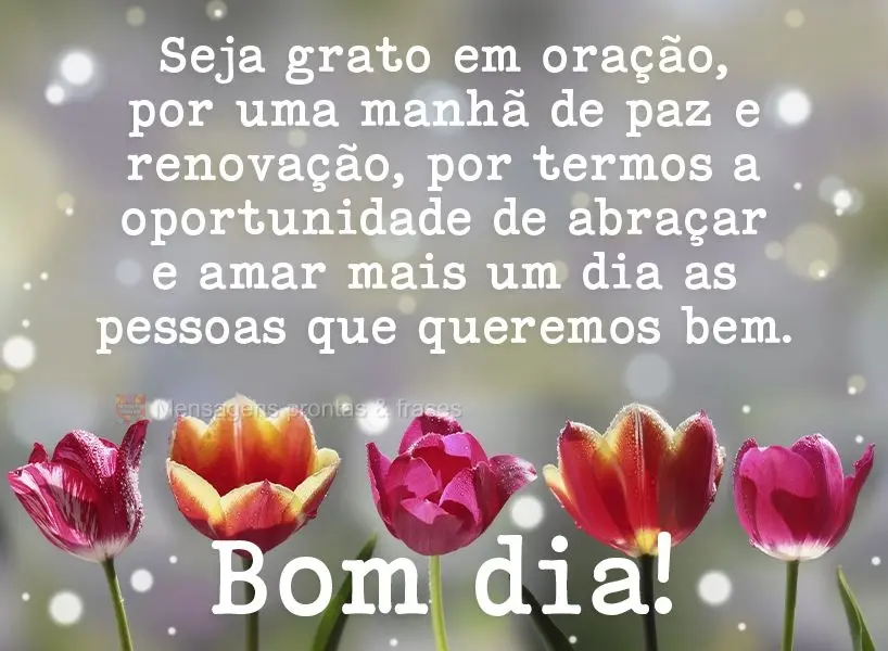Sejamos gratos em oração por uma manhã de paz e renovação, por termos a oportunidade de abraçar e amar mais um dia as pessoas que queremos bem.  Bo...