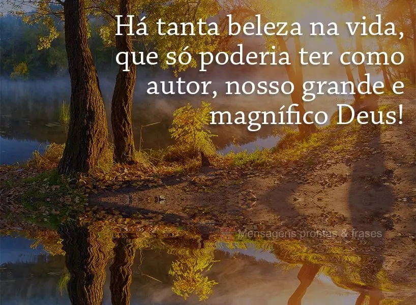 Há tanta beleza na vida, que só poderia ter como autor, nosso grande e magnífico Deus!