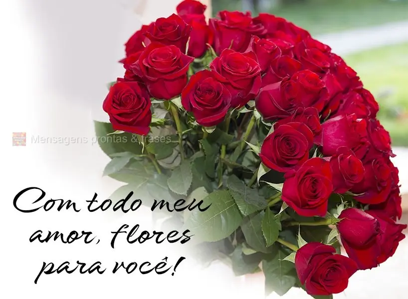 Que seu dia se torne tão lindo quanto essas flores!