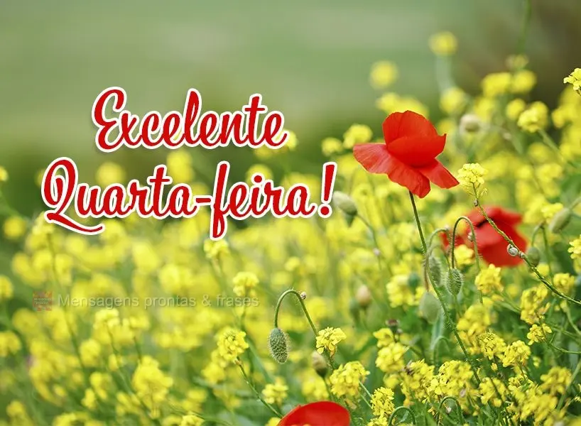 Excelente Quarta-feira!