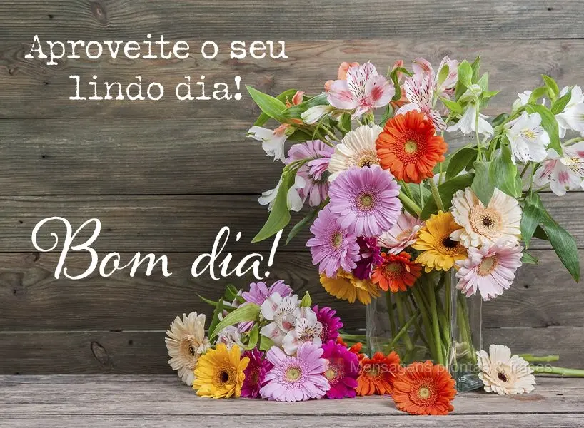 Aproveite o seu lindo dia!  Bom dia!
