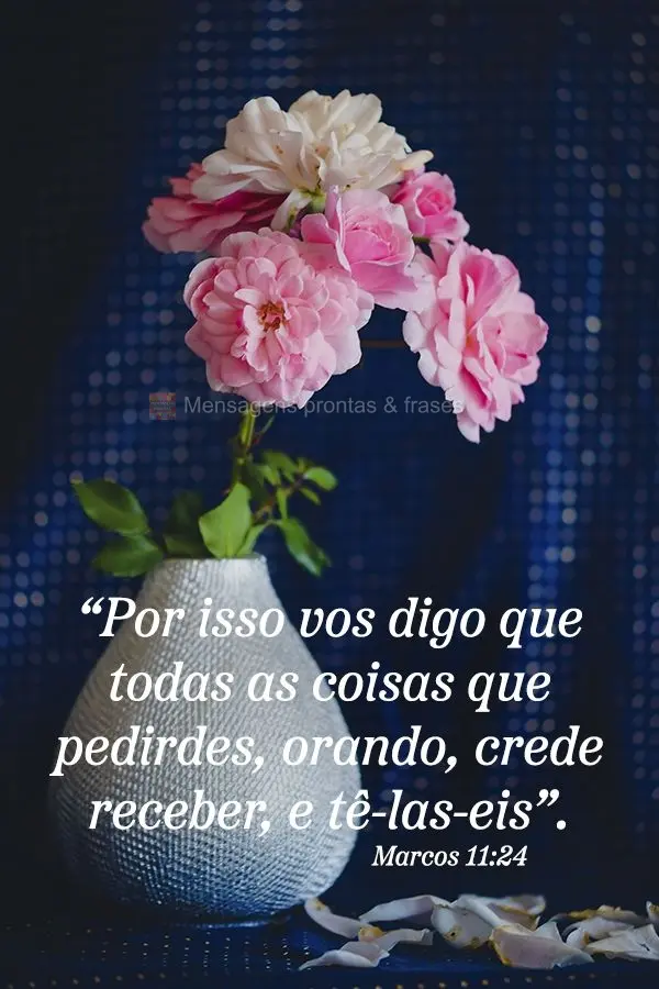 “Por isso vos digo que todas as coisas que pedirdes, orando, crede receber, e tê-las-eis”.
 Marcos 11:24