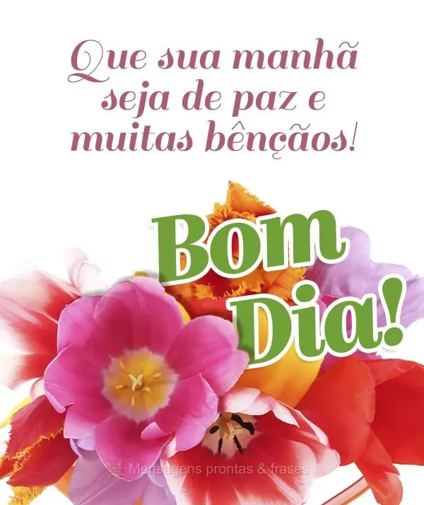 Que sua manhã seja de paz e muitas bênçãos! Bom dia!