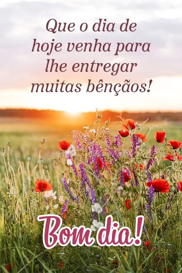 Que o dia de hoje venha para lhe entregar muitas bênçãos! Bom dia!