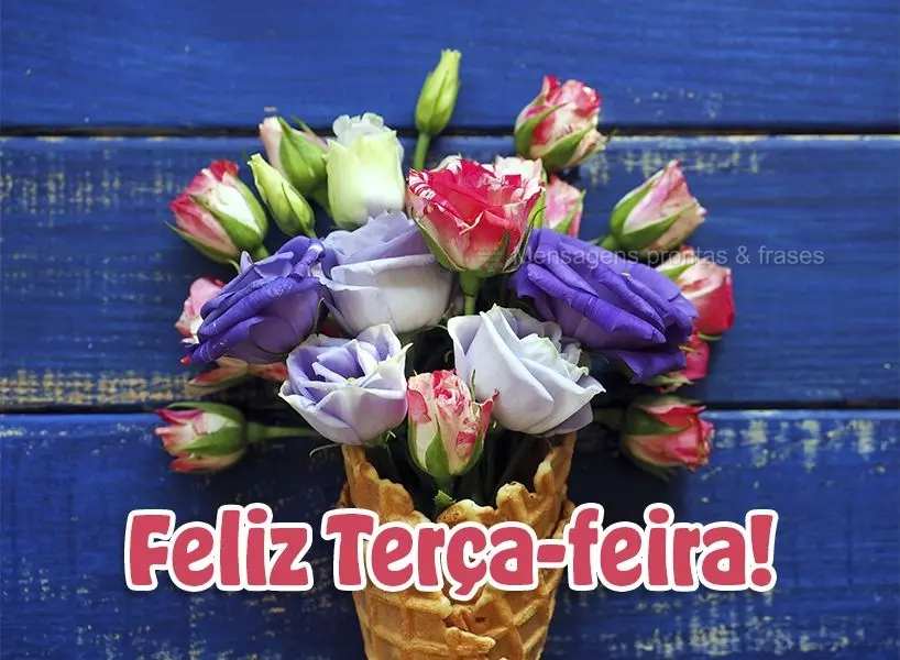 Feliz Terça-feira!