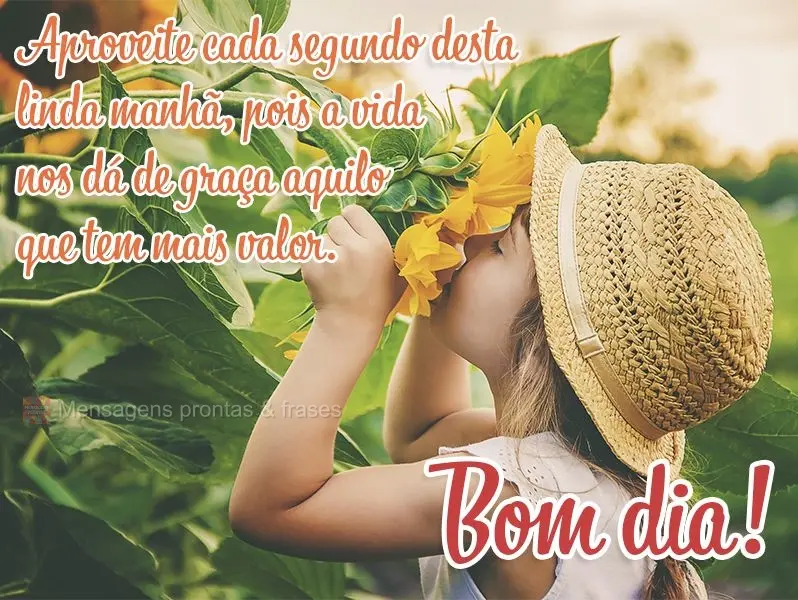 Aproveite cada segundo desta linda manhã, pois a vida nos dá de graça aquilo que tem mais valor. Bom dia!