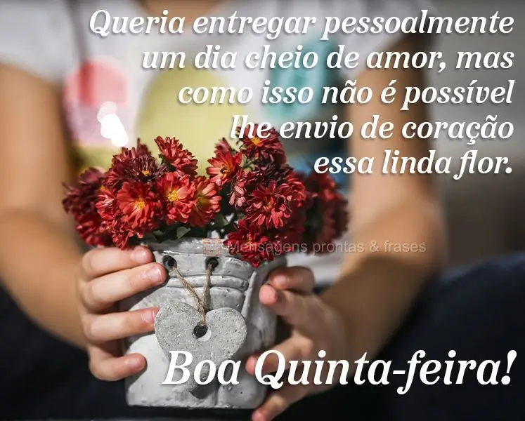 Queria entregar pessoalmente um dia cheio de amor. Mas como isso não é possível lhe envio de coração essa linda flor. Boa Quinta-feira!
