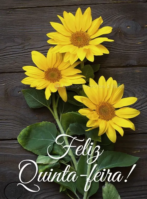 Feliz Quinta-feira!