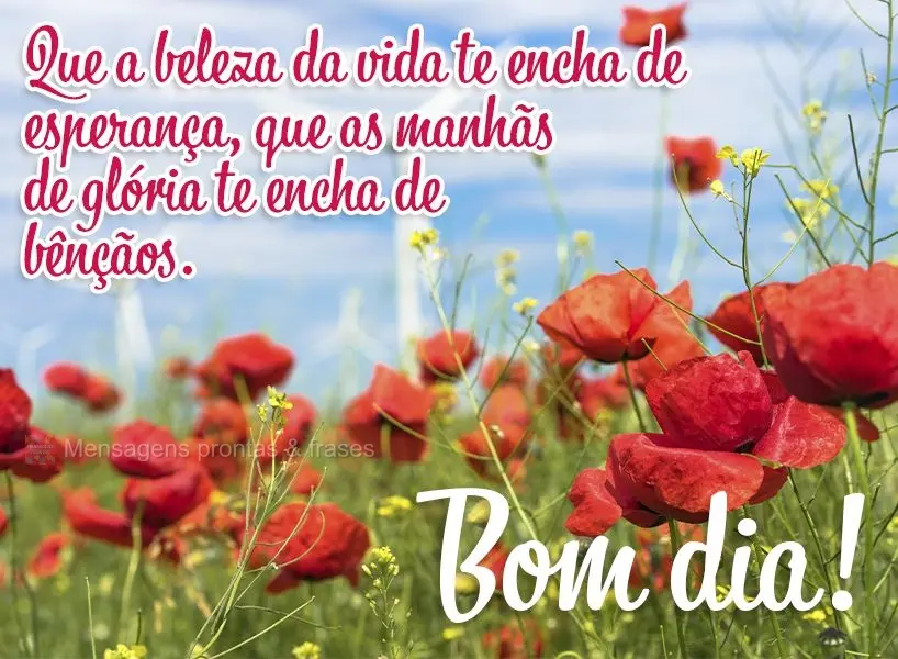 Que a beleza da vida te encha de esperança, que as manhãs de glória te encham de bênçãos. Bom dia!