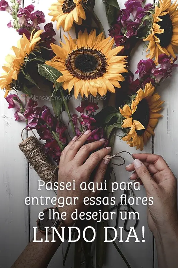 Passei aqui para entregar essas flores e lhe desejar um lindo dia!