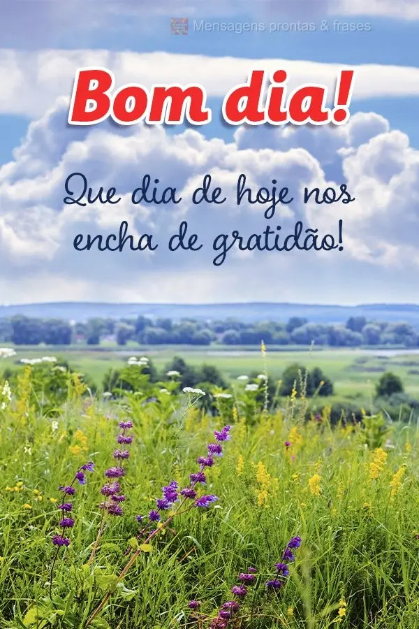 Que o dia de hoje nos encha de gratidão! Bom dia!