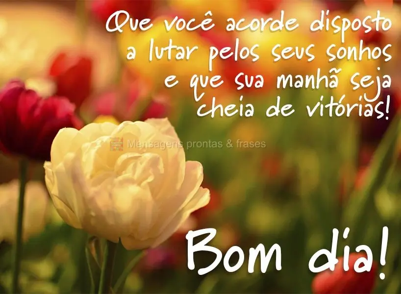 Que você acorde disposto a lutar pelos seus sonhos e que sua manhã seja cheia de vitórias! Bom dia!